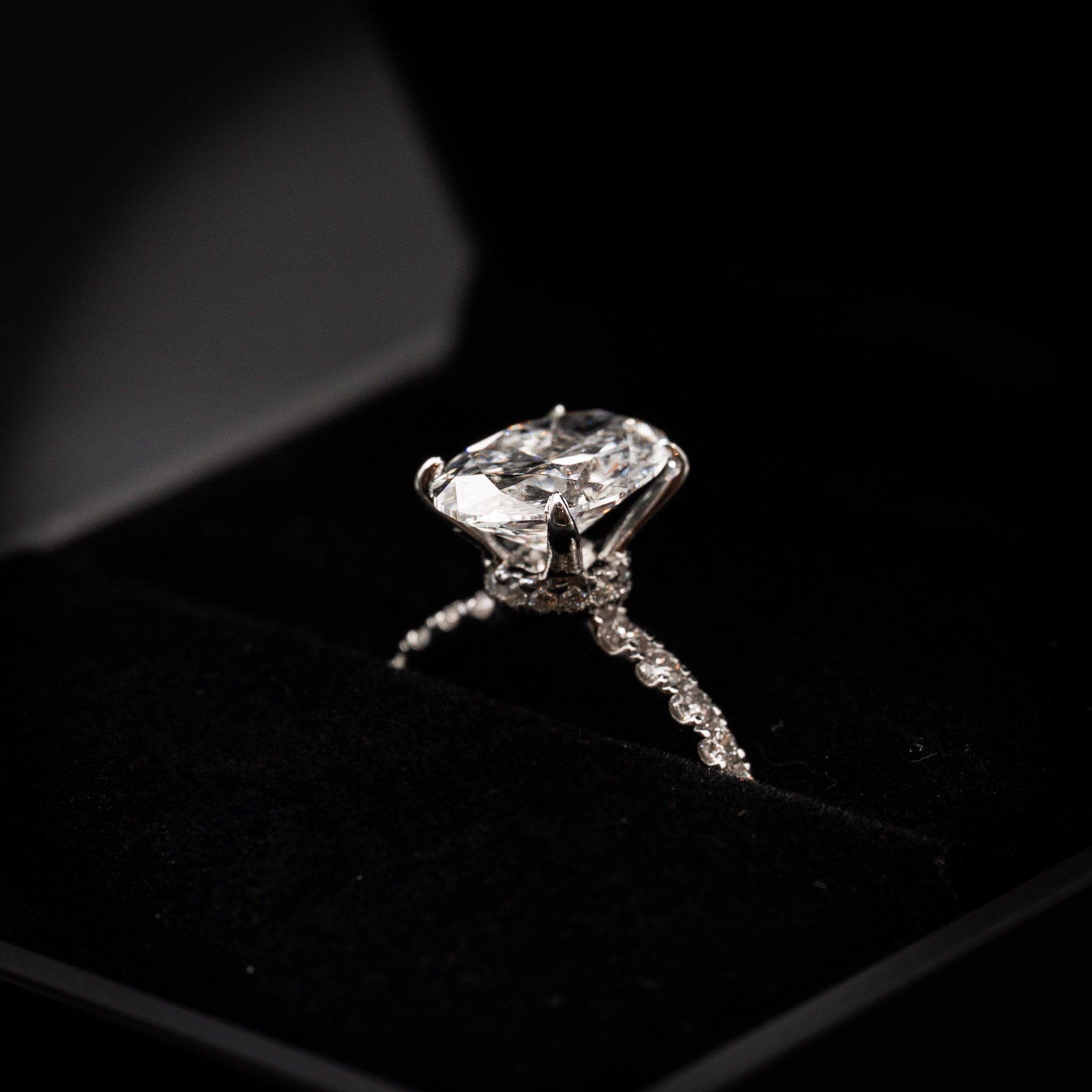 Engagement Lab-Grown Diamond Rings with Hidden Halo